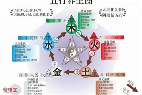 五行缺水男|五行缺水会怎么样 命里缺水的人应该怎么办